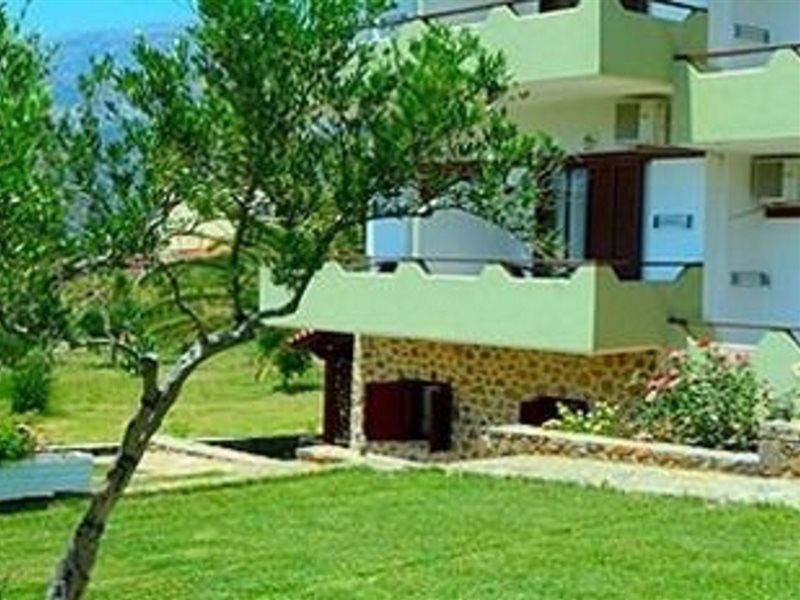 Albatros & Apartment *